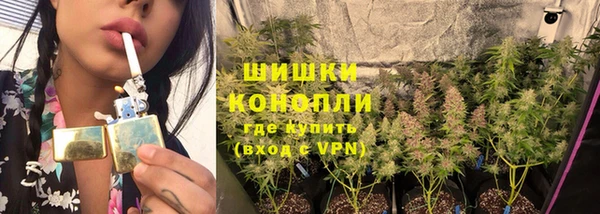 ПСИЛОЦИБИНОВЫЕ ГРИБЫ Богородск