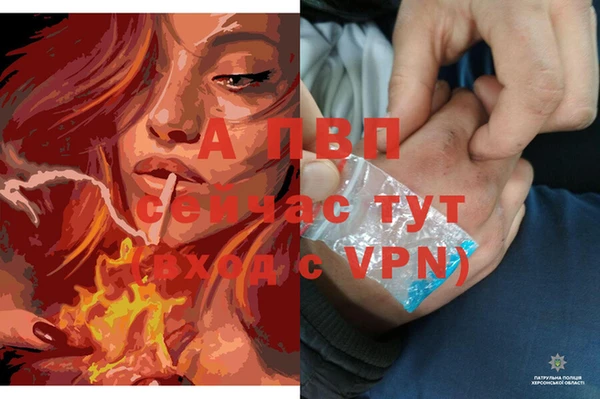 apvp Богданович