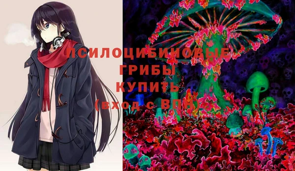 экстази Бородино