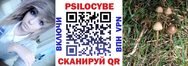 Псилоцибиновые грибы ЛСД  Каргополь 